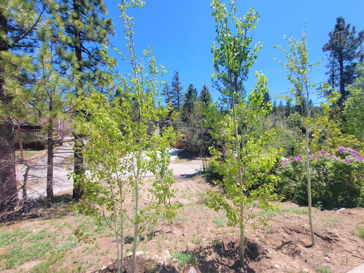 Four Seasons Getaway-Private Hot Spa With Pine Tree Views-Walk To Village And Pineknot Trailhead-Plus King Bed! بيغ بير لاكي، سان بيرناردينو، كاليفورنيا المظهر الخارجي الصورة